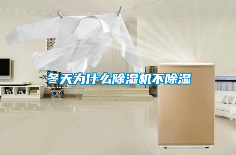 冬天为什么草莓视频APP在线观看不除湿