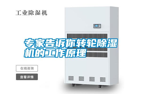 专家告诉你转轮草莓视频APP在线观看的工作原理