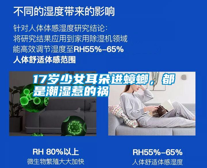 17岁少女耳朵进蟑螂，都是潮湿惹的祸