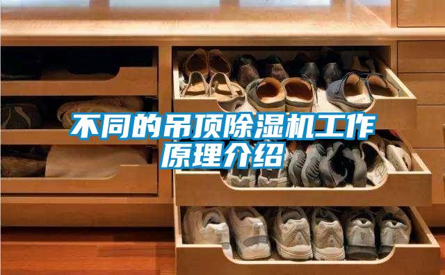 不同的吊顶草莓视频APP在线观看工作原理介绍