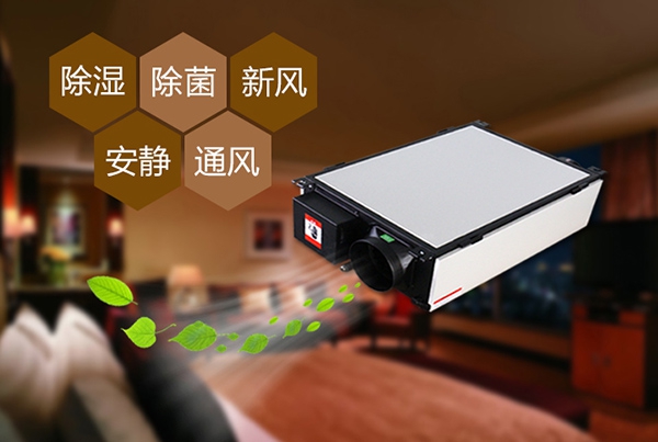 哈密瓜烘干草莓视频APP在线观看
