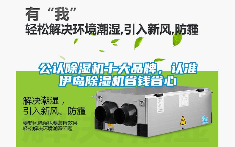 公认草莓视频APP在线观看十大品牌，认准伊岛草莓视频APP在线观看省钱省心
