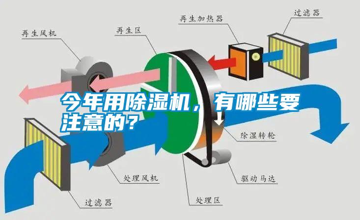 今年用草莓视频APP在线观看，有哪些要注意的？