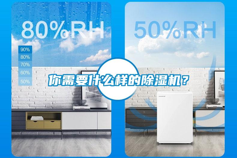 你需要什么样的草莓视频APP在线观看？