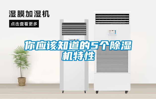 你应该知道的5个草莓视频APP在线观看特性
