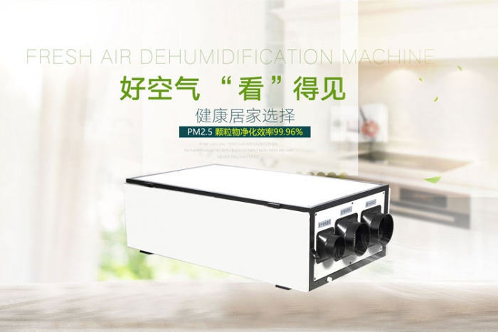 恒温泳池工业草莓视频APP在线观看