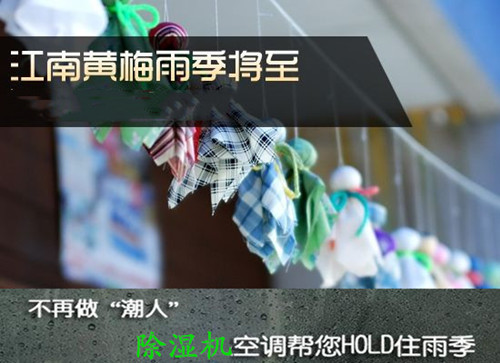 防潮草莓视频APP在线观看