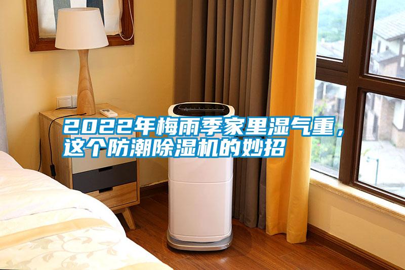 2022年梅雨季家里湿气重，这个防潮草莓视频APP在线观看的妙招