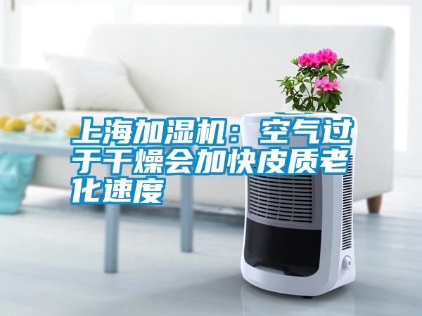 上海加湿机：空气过于干燥会加快皮质老化速度