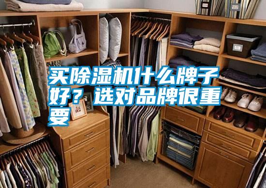 买草莓视频APP在线观看什么牌子好？选对品牌很重要