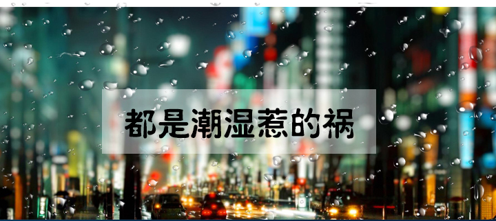 防潮草莓视频APP在线观看