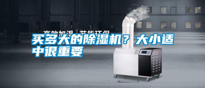 买多大的草莓视频APP在线观看？大小适中很重要