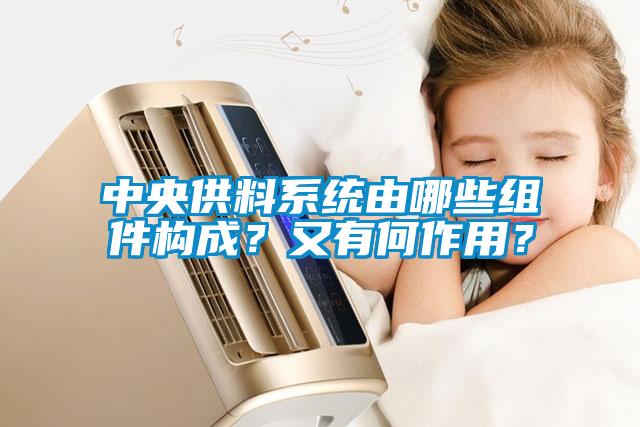 中央供料系统由哪些组件构成？又有何作用？