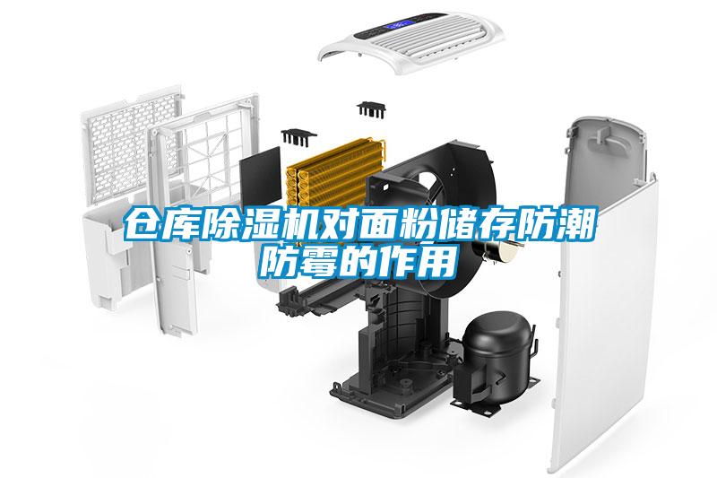 仓库草莓视频APP在线观看对面粉储存防潮防霉的作用