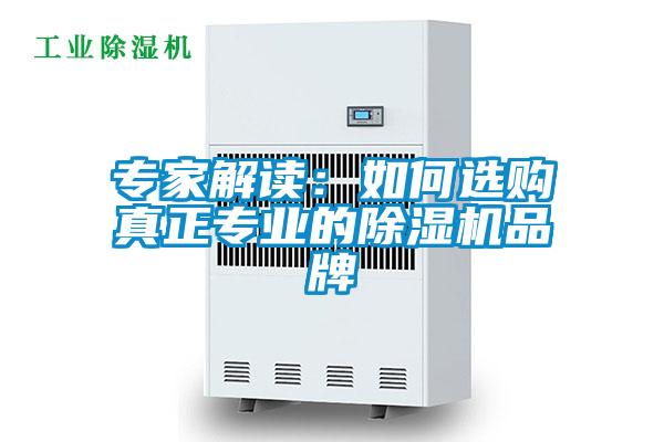 专家解读：如何选购真正专业的草莓视频APP在线观看品牌