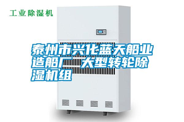 泰州市兴化蓝天船业造船厂 大型转轮草莓视频APP在线观看组