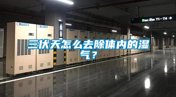 三伏天怎么去除体内的湿气？