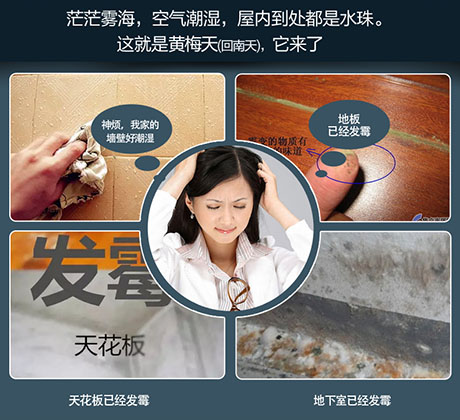 工业草莓视频APP在线观看厂家