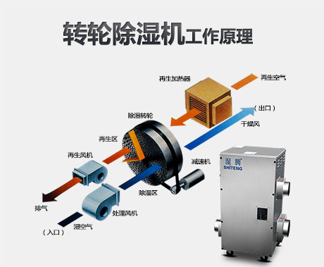 为什么要使用转轮草莓视频APP在线观看