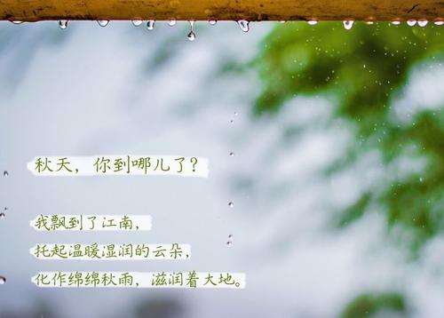 “无晴”阴雨天 “有晴”草莓视频APP在线观看