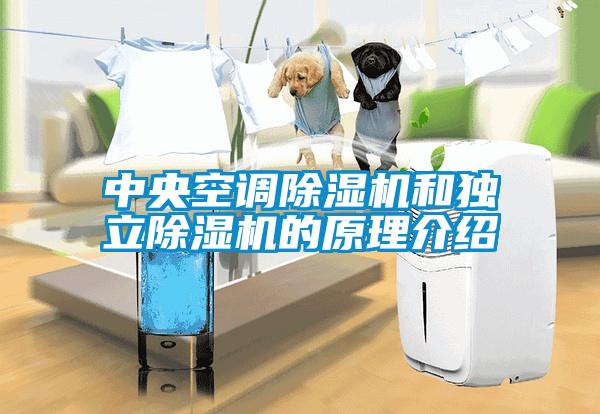 中央空调草莓视频APP在线观看和独立草莓视频APP在线观看的原理介绍
