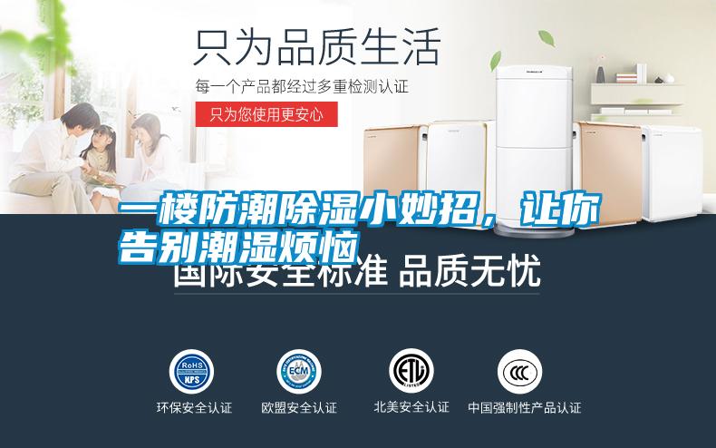 一楼防潮除湿小妙招，让你告别潮湿烦恼