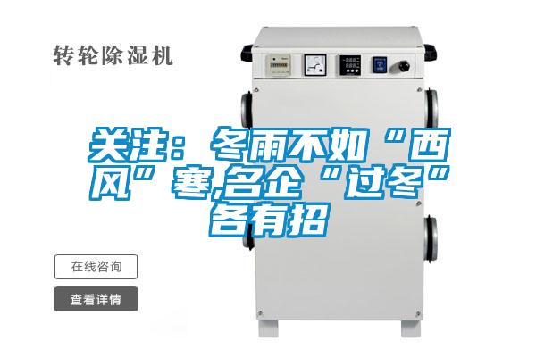 关注：冬雨不如“西风”寒,名企“过冬”各有招