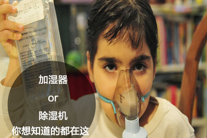 什么时候选择加湿器／草莓视频APP在线观看？看了你就明白