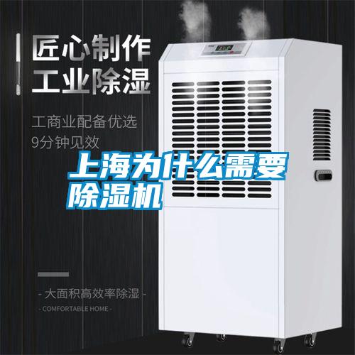 上海为什么需要草莓视频APP在线观看