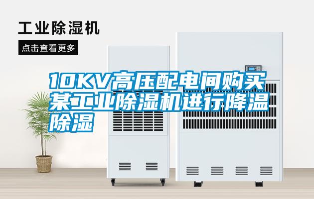 10KV高压配电间购买某工业草莓视频APP在线观看进行降温除湿