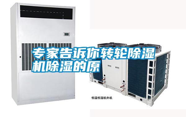 专家告诉你转轮草莓视频APP在线观看除湿的原