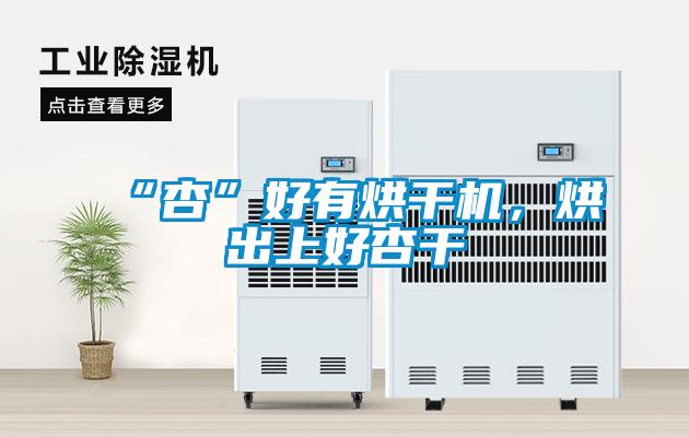 “杏”好有烘干机，烘出上好杏干