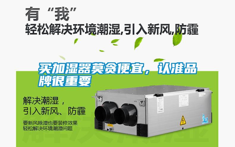 买加湿器莫贪便宜，认准品牌很重要