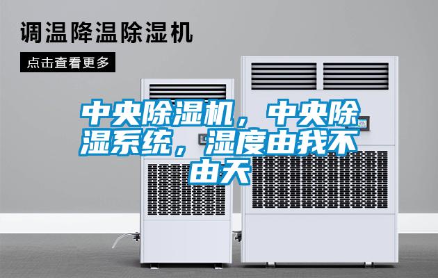 中央草莓视频APP在线观看，中央除湿系统，湿度由我不由天