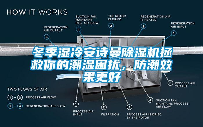 冬季湿冷草莓视频污污版草莓视频APP在线观看拯救你的潮湿困扰，防潮效果更好