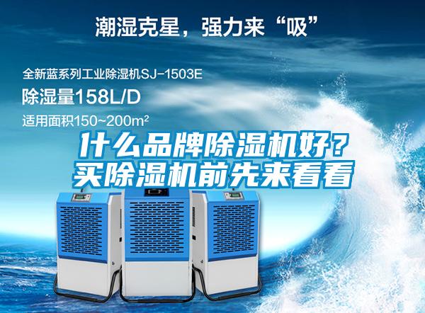 什么品牌草莓视频APP在线观看好？买草莓视频APP在线观看前先来看看