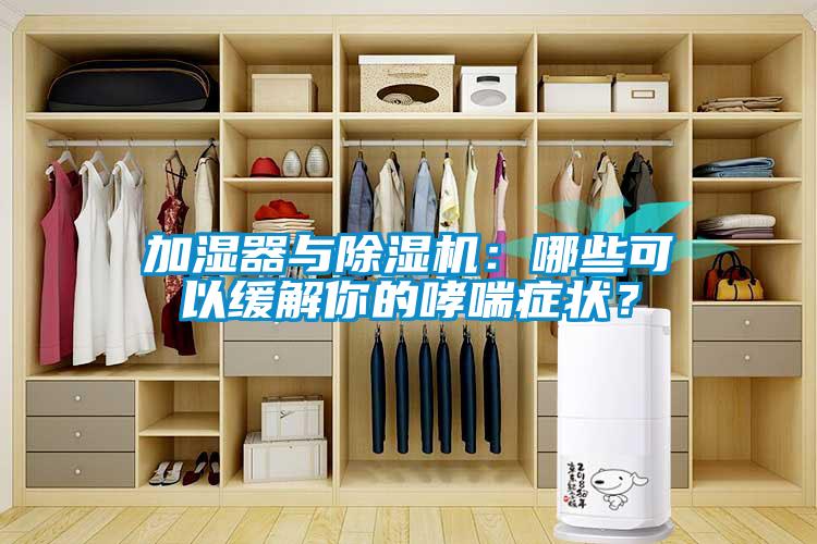加湿器与草莓视频APP在线观看：哪些可以缓解你的哮喘症状？