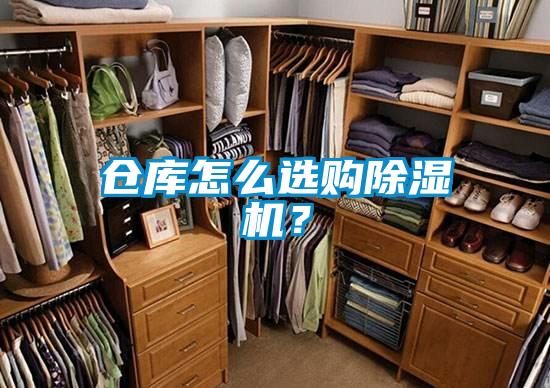 仓库怎么选购草莓视频APP在线观看？