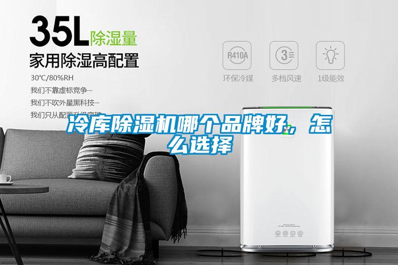 冷库草莓视频APP在线观看哪个品牌好，怎么选择