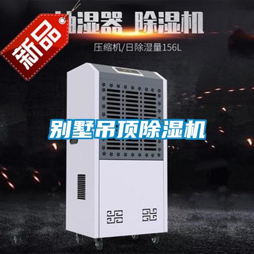 别墅吊顶草莓视频APP在线观看