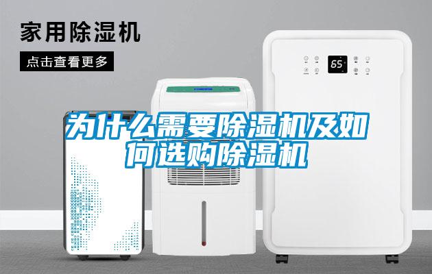 为什么需要草莓视频APP在线观看及如何选购草莓视频APP在线观看
