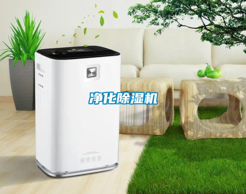 净化草莓视频APP在线观看