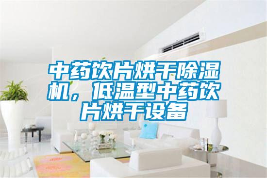 中药饮片烘干草莓视频APP在线观看，低温型中药饮片烘干设备