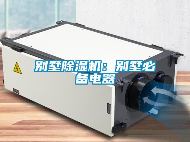 别墅草莓视频APP在线观看：别墅必备电器