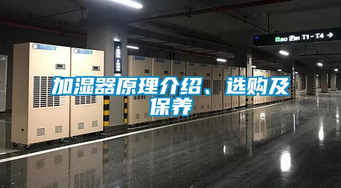 加湿器原理介绍、选购及保养