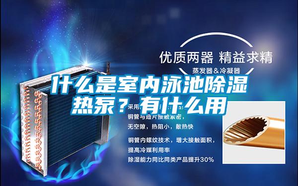 什么是室内泳池除湿热泵？有什么用