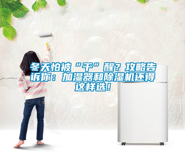 冬天怕被“干”醒？攻略告诉你：加湿器和草莓视频APP在线观看还得这样选！