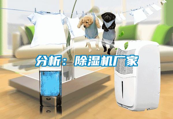 分析：草莓视频APP在线观看厂家