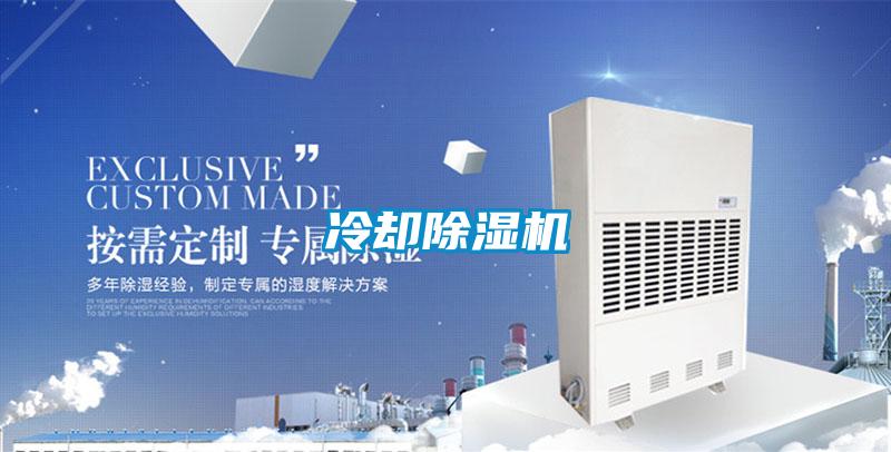 冷却草莓视频APP在线观看