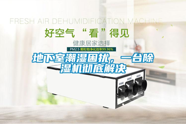 地下室潮湿困扰，一台草莓视频APP在线观看彻底解决